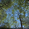 IMG_7016.JPG
