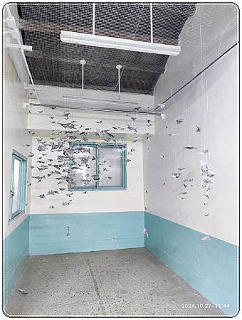 113-10-27清水走走藝術季+頂魚寮公園