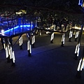 DSC01461.JPG