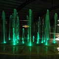 DSC01491.JPG