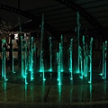 DSC01495.JPG