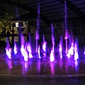 DSC01496.JPG