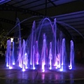 DSC01501.JPG