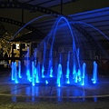 DSC01503.JPG