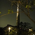 DSC01522.JPG