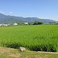 DSC02678.JPG