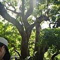DSC02682.JPG