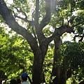 DSC02683.JPG