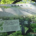DSC02684.JPG