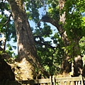 DSC02685.JPG