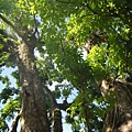 DSC02686.JPG