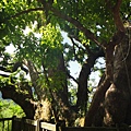 DSC02689.JPG