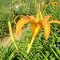 DSC02694.JPG
