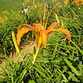 DSC02695.JPG