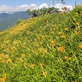 DSC02696.JPG