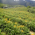 DSC02697.JPG