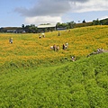 DSC02704.JPG