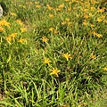 DSC02705.JPG