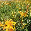 DSC02706.JPG
