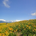 DSC02712.JPG