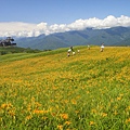 DSC02727.JPG