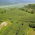 DSC02737.JPG