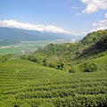 DSC02738.JPG