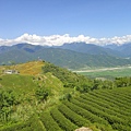DSC02739.JPG