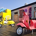 DSC02971.JPG