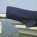 DSC02980.JPG