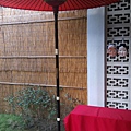 IMAG0108.jpg