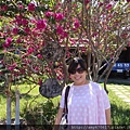 DSC03755.JPG