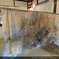 DSC03759.JPG