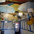 DSC03774.JPG