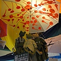 DSC03776.JPG