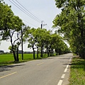DSC03816.JPG