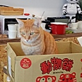 IMG20200104135633.jpg