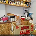 IMG20200104135619.jpg