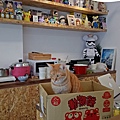 IMG20200104135628.jpg