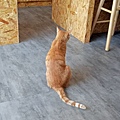 IMG20200418141612.jpg