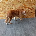 IMG20200418142017.jpg
