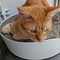IMG20200418145129.jpg