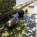 IMG20200503115127.jpg