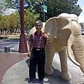 IMG20200503115112.jpg