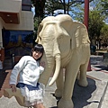 IMG20200503125834.jpg