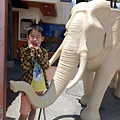 IMG20200503125856.jpg