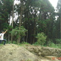 DSC05901.JPG DSC05901.JPG