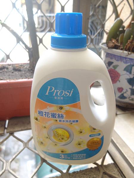 DSCF3604.JPG DSCF3604.JPG