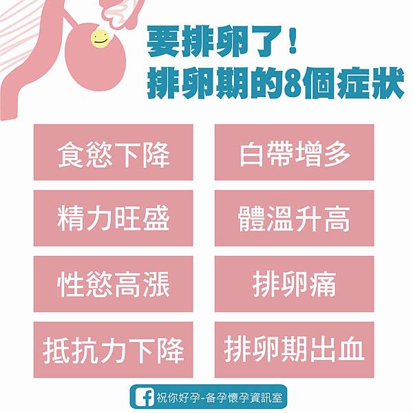 多囊性卵巢 排卵痛-02 多囊性卵巢 排卵痛-02