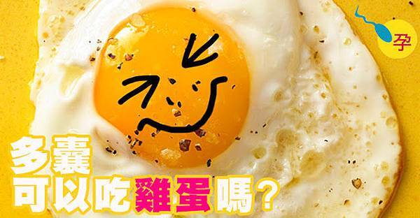 聽說多囊想懷孕,要少吃雞蛋?多囊飲食禁忌看過來 聽說多囊想懷孕,要少吃雞蛋?多囊飲食禁忌看過來